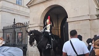 Then kings guards horse steps on tourist foot #horseguardsparade