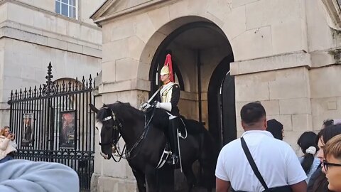 Then kings guards horse steps on tourist foot #horseguardsparade