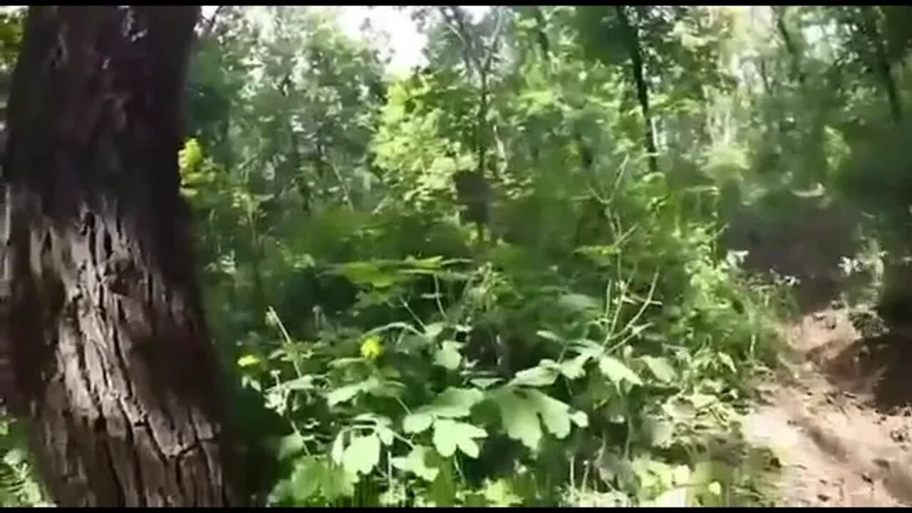 Contact combat in the forest of Russian BARS 8 fighters from the first person