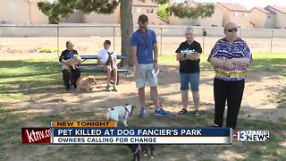 Dog owners want change after deadly dog park attack