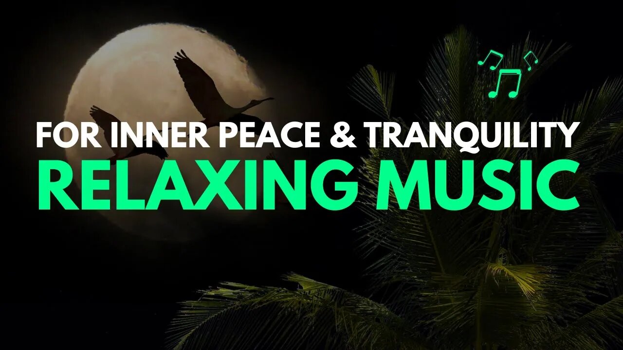 Unwind with the Most Soothing Piano Music You've Ever Heard!