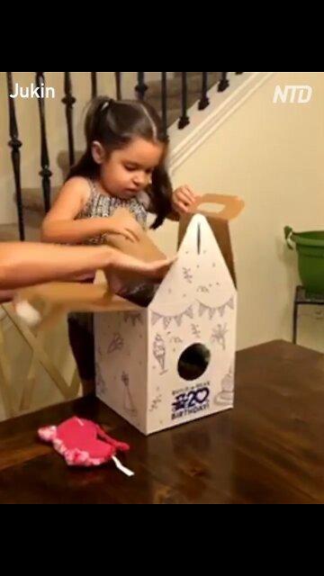 Girl Receives Bear With Voice Recording of Deployed Dad