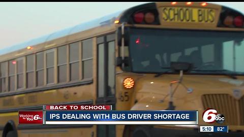 IPS dealing with bus driver shortage