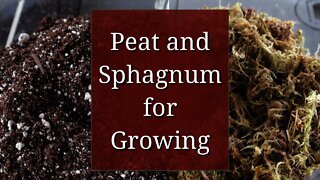 Peat and Sphagnum for Growing Plants