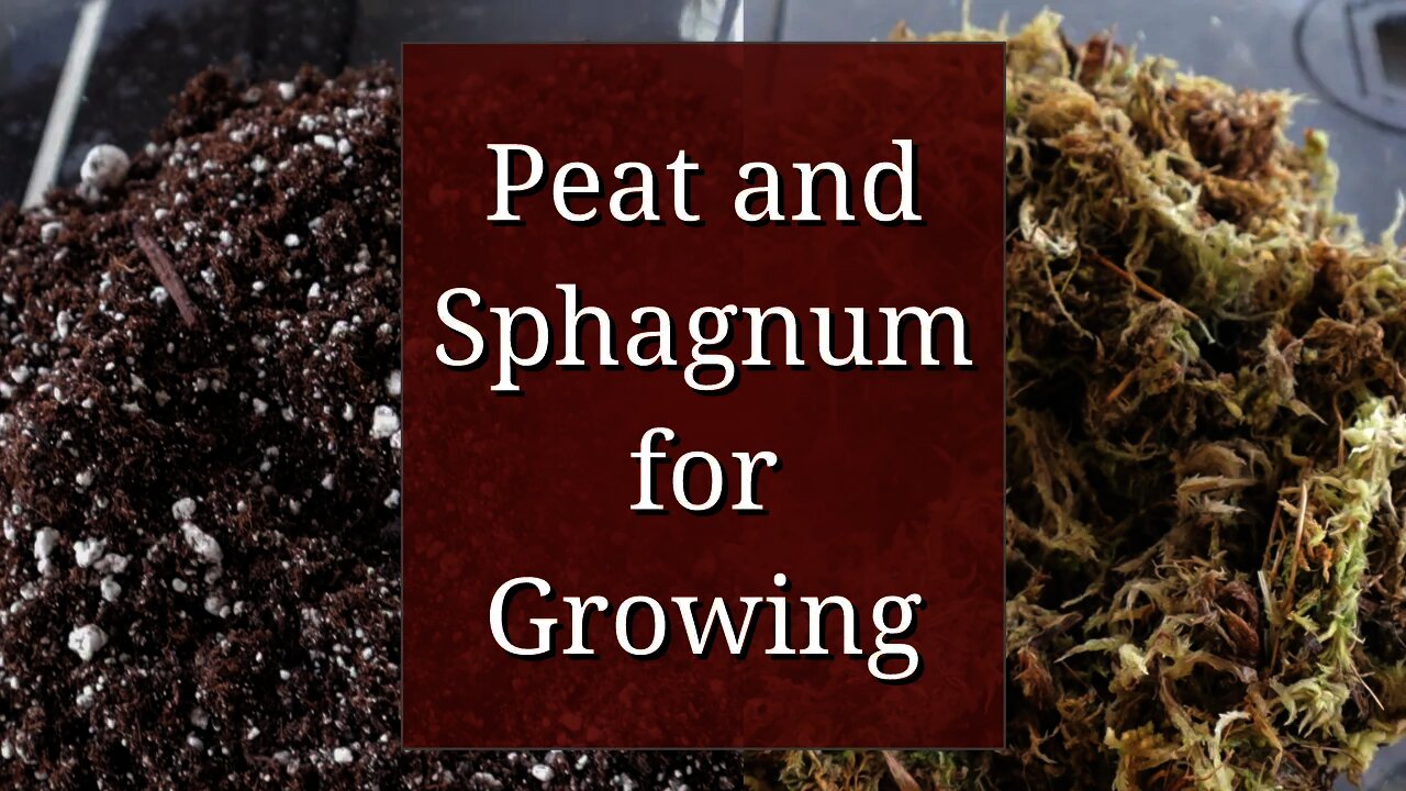 Peat and Sphagnum for Growing Plants