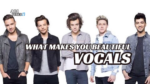 Vocal Music One direction - What makes you Beautiful (Vocals Only)