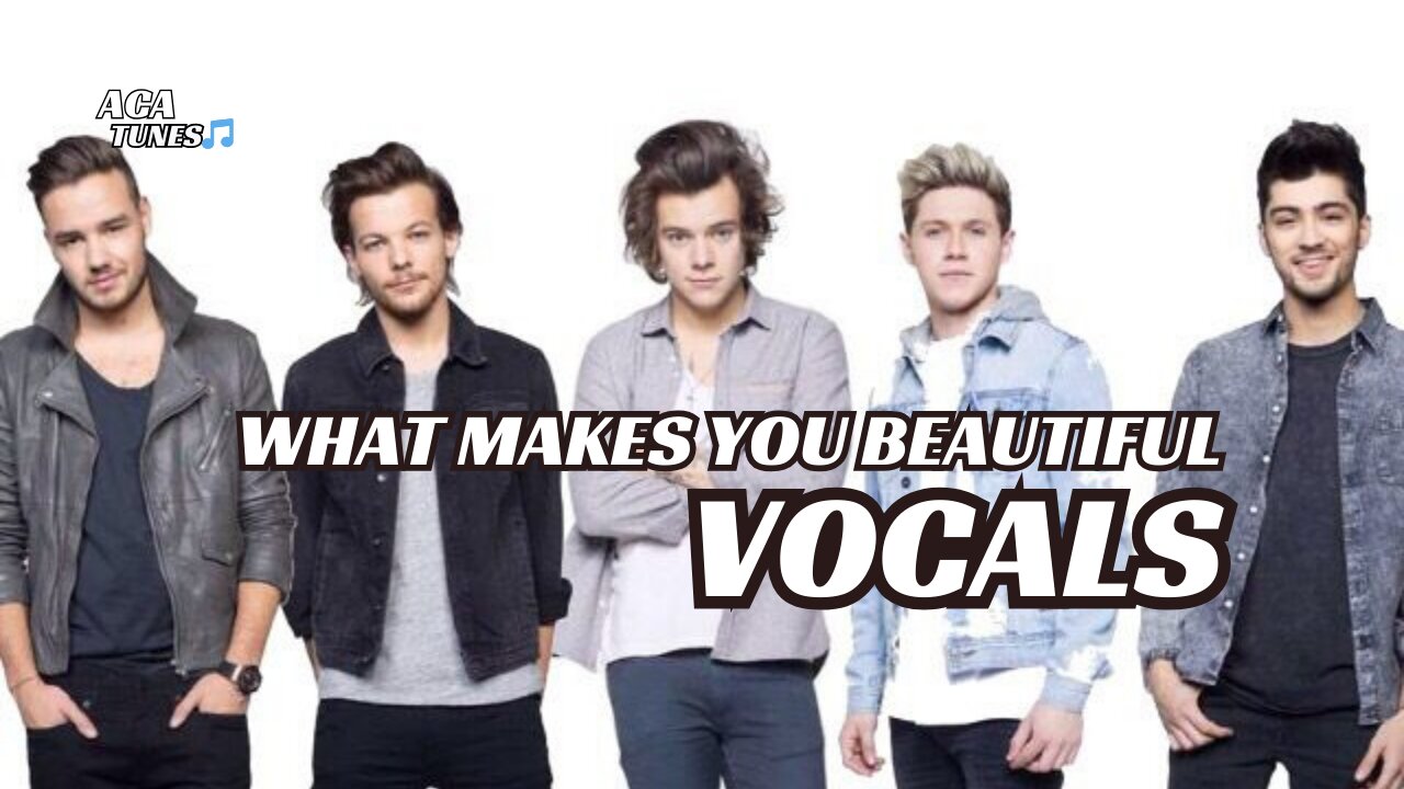Vocal Music One direction - What makes you Beautiful (Vocals Only)