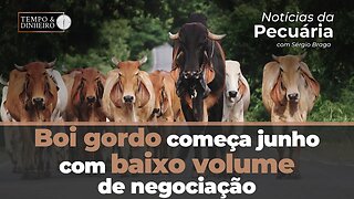 Boi gordo começa junho com baixo volume de negociação