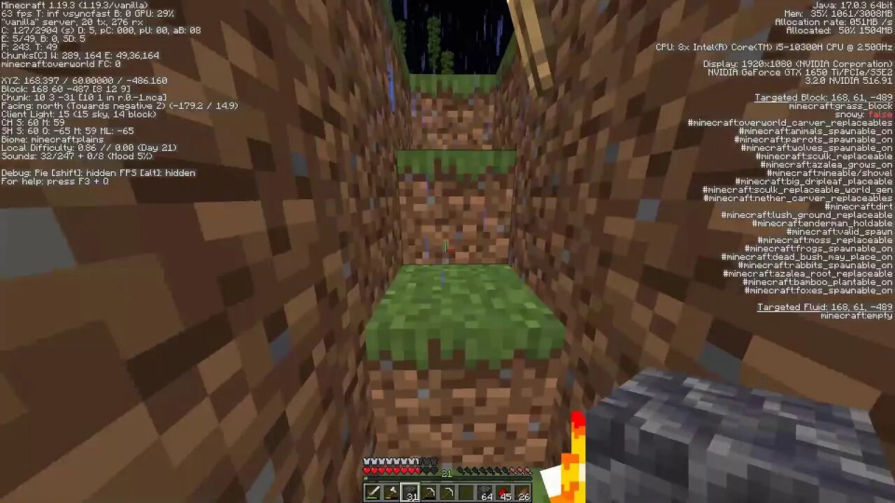 duo minecraft #4
