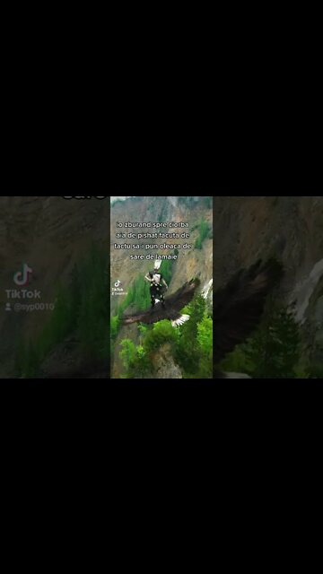 cand e #ciorba de pishat vine #sareadelamaie s-o salveze #jmek #caras