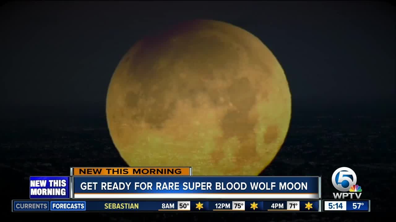 South Florida stargazers eagerly await Sunday's rare 'super blood wolf moon'