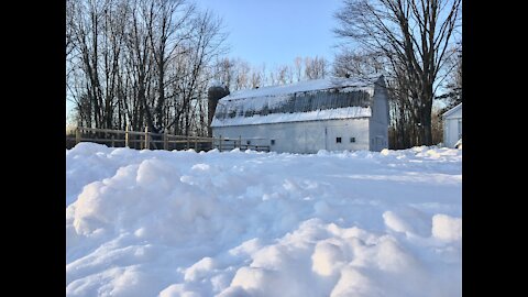 SNOWY Morning on the Homestead-and it’s Only Getting Colder!