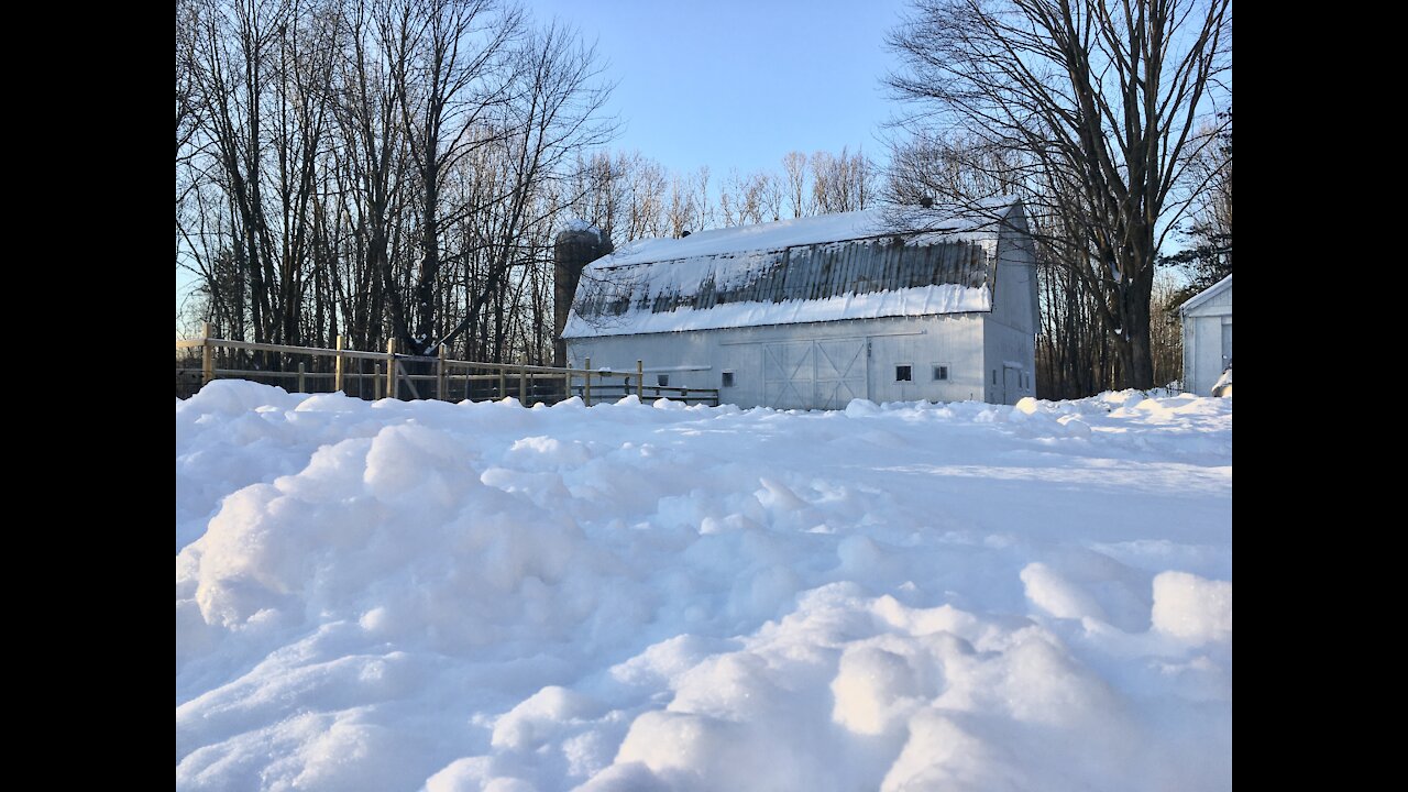 SNOWY Morning on the Homestead-and it’s Only Getting Colder!