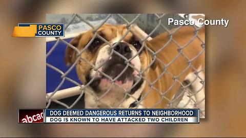 Dog deemed dangerous returns to neighborhood