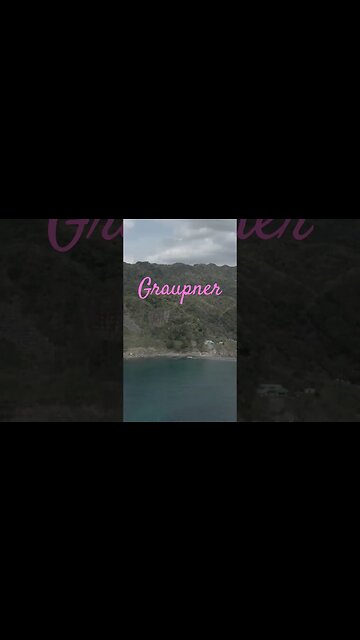 Graupner - Subscribe For More #shorts #graupner #classicalviolin