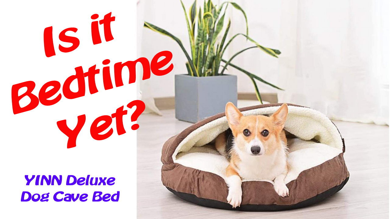 YINN Deluxe Dog Cave Bed