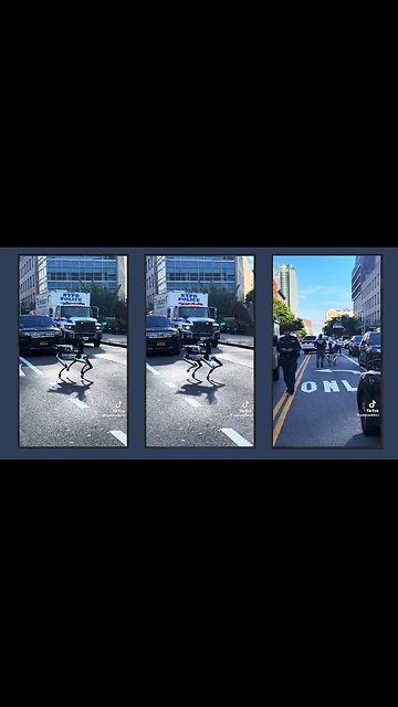 NYPD's Robot Dog Deployed in the City EW