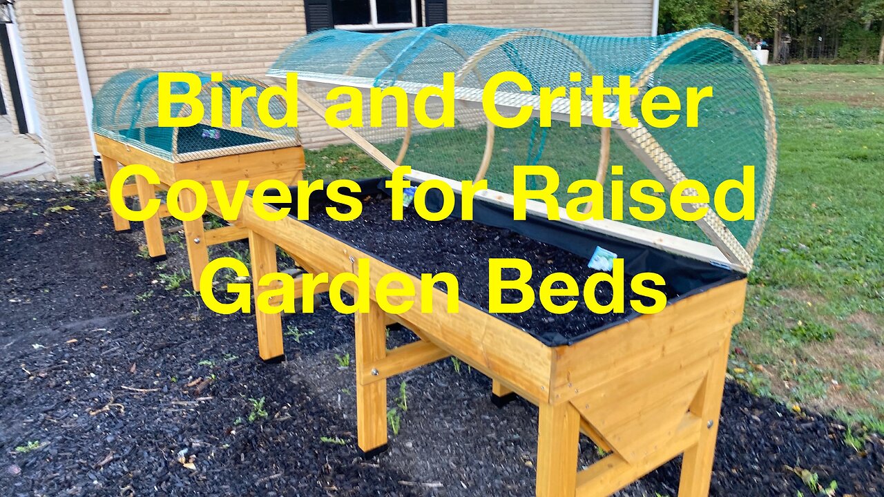 How to Bird-Proof Raised Garden Beds