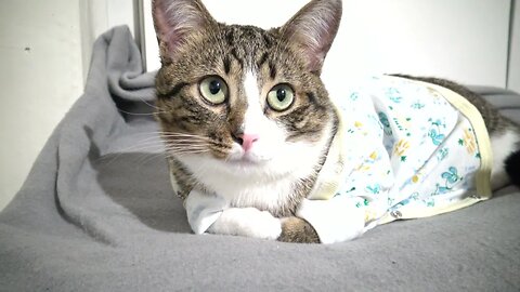 I Am Cold, Mom