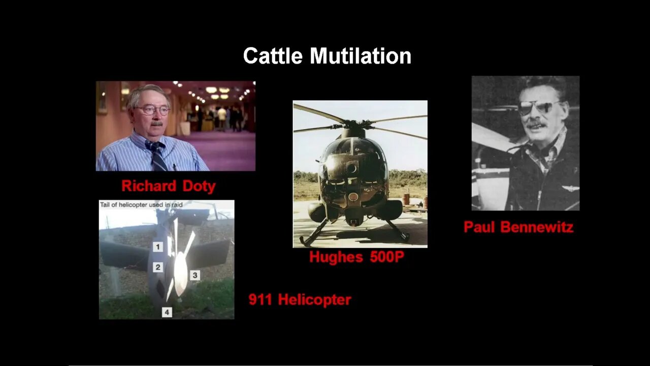 The Pattern EP06 Cattle Mutilations