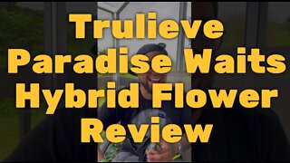 Trulieve Paradise Waits Hybrid Flower Review - Good Quality and Smell