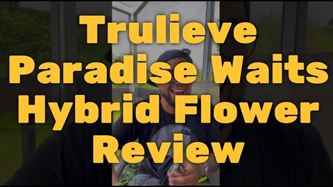 Trulieve Paradise Waits Hybrid Flower Review - Good Quality and Smell