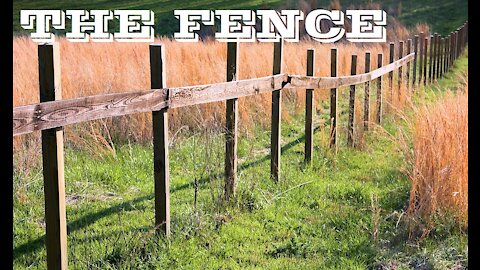 The Fence Podcast #1