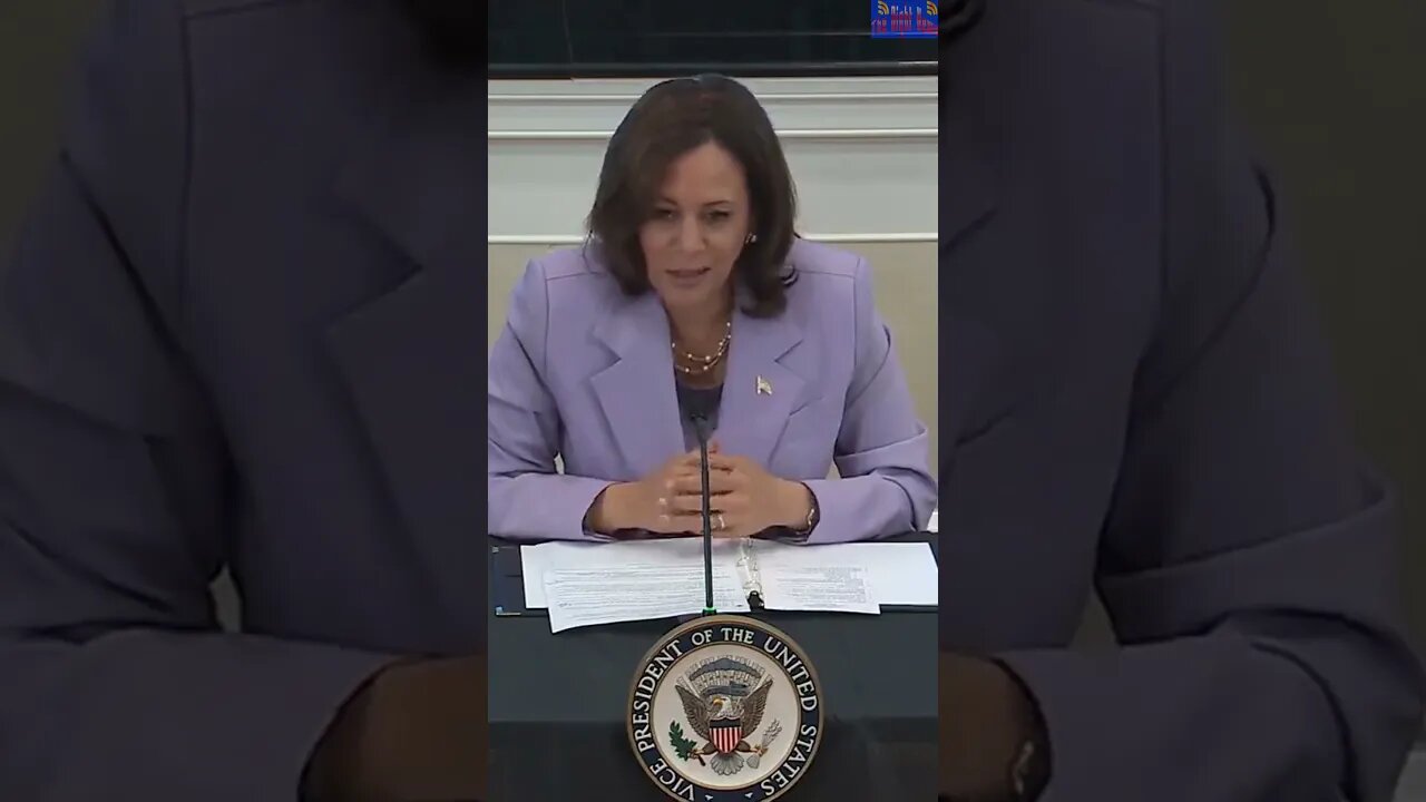 Megyn Kelly wonders how dumb could Affirmative Action VP Kamala Harris be.
