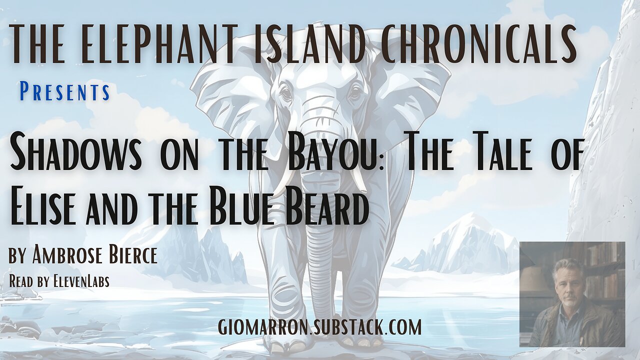 Shadows on the Bayou: The Tale of Elise and the Blue Beard