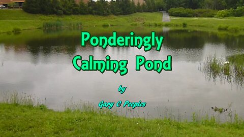 Ponderingly Calming Pond