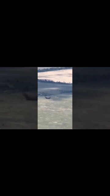 The work of mortars of the 100th brigade of the DPR army on the positions of the AFU