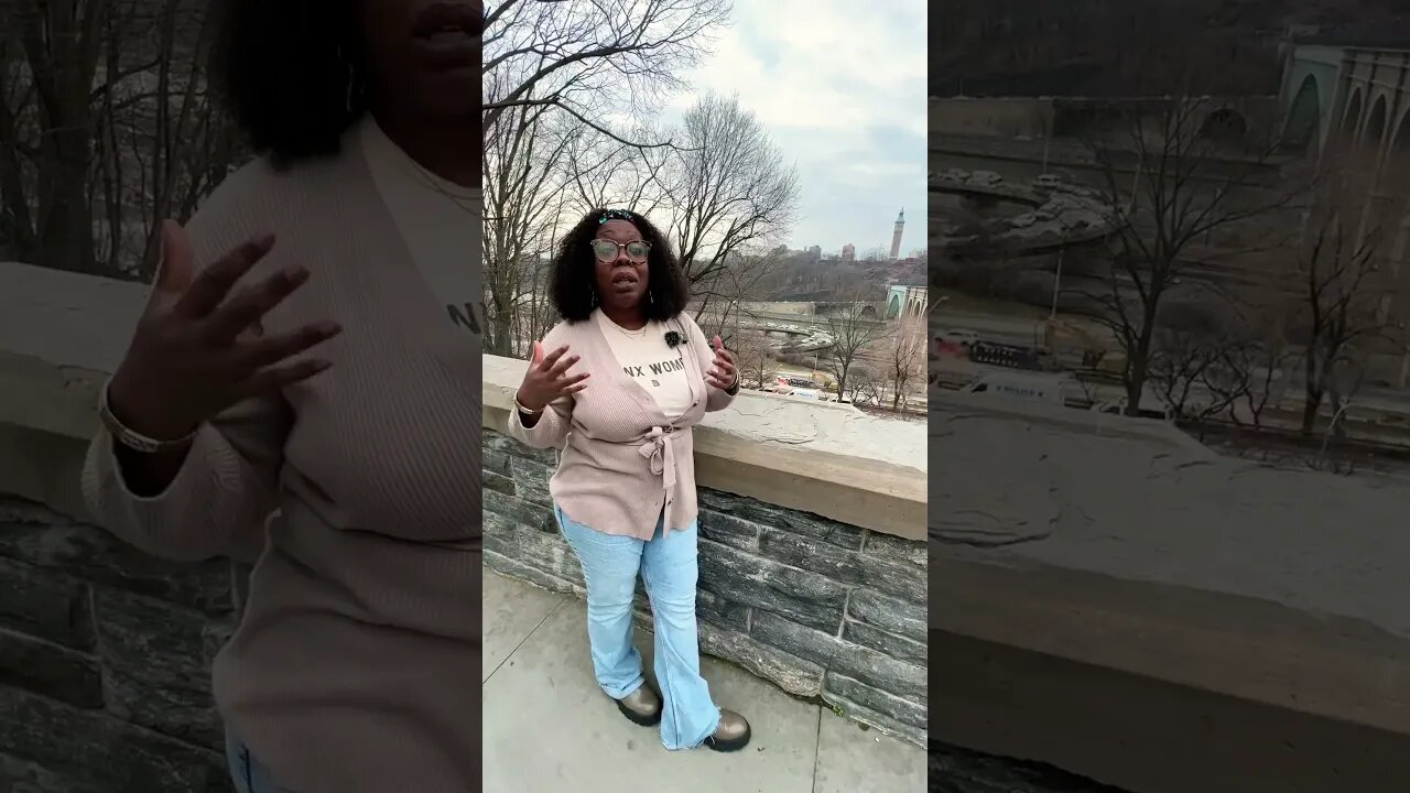 Should the West Bronx have a Ferry? (with Council Member @altheastevens4citycouncil7)