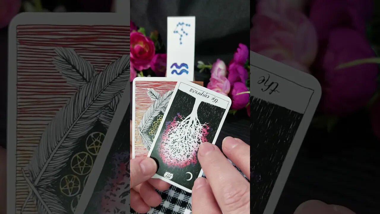 Aquarius tarot reading quick Insight #shorttarot