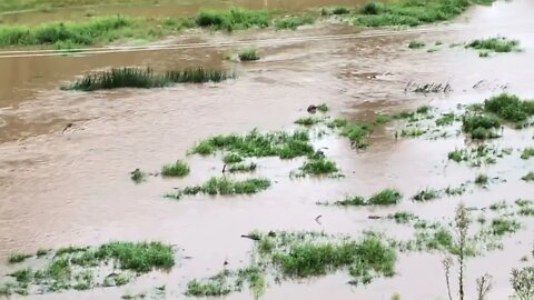 Coming to your property soon! Flood update day 7.