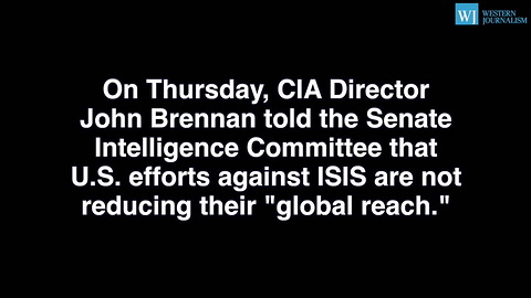 CIA Director Refutes President Obamas Claim That ISIS Is Shrinking