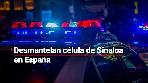 Policía de España desmantela célula criminal ligada al Cártel de Sinaloa; hay 14 detenidos