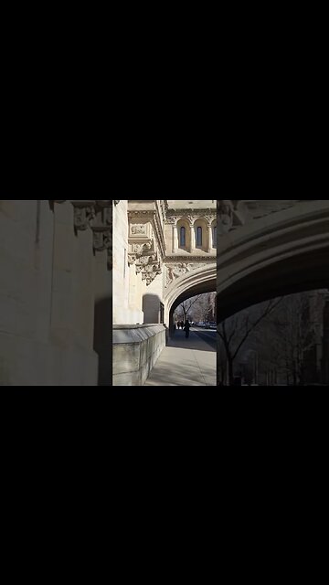 NEW Haven CT #joerogan #nojumper #mrbeast