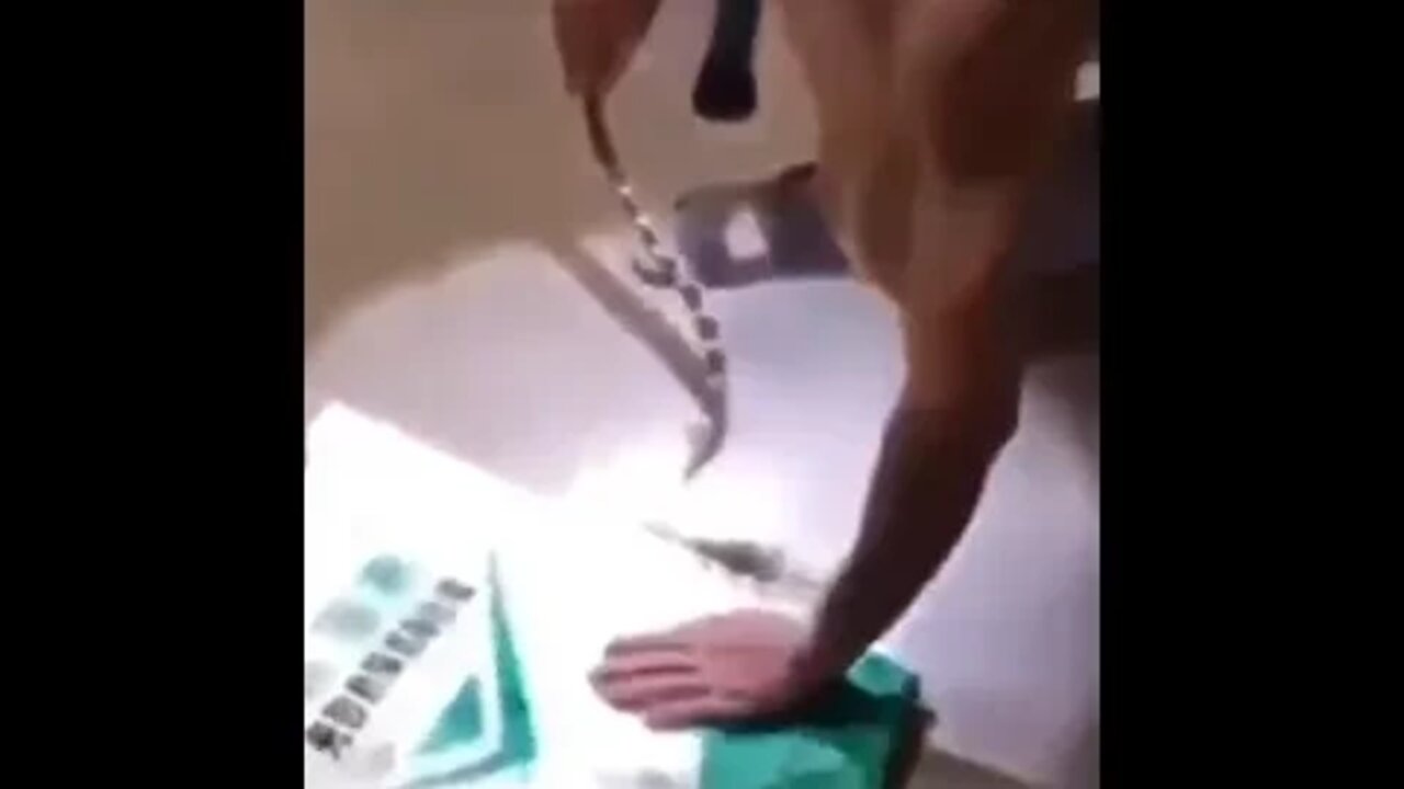 Be careful when dealing with snakes. tragic adventure