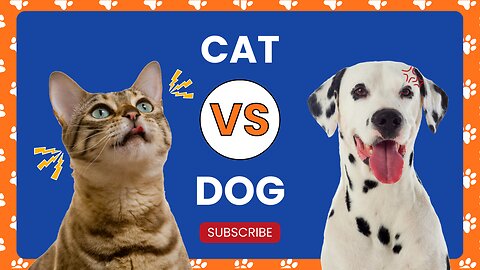 Fur-tastic Funnies: Dog and Cat Comedy Bash! 🐾😂 #PetLaughs