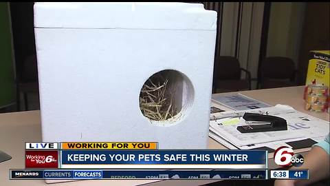 Winter Weather Preparedness: Keeping your pets safe this winter