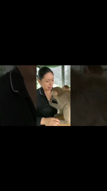 Instagram treading video #short #styles #nagin