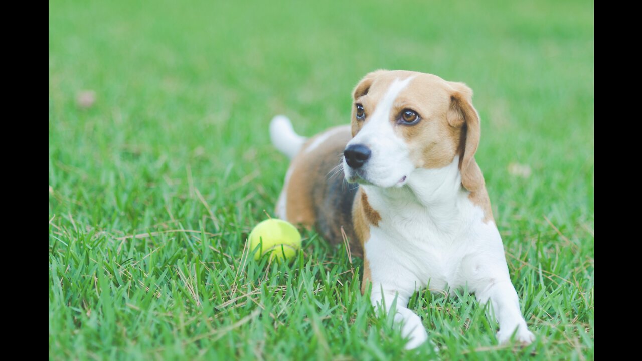 Tommy's playtime