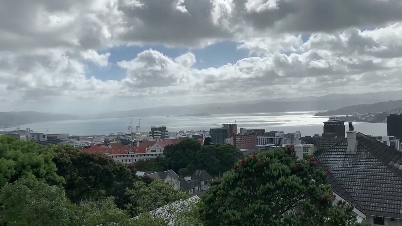 Wellington Harbour