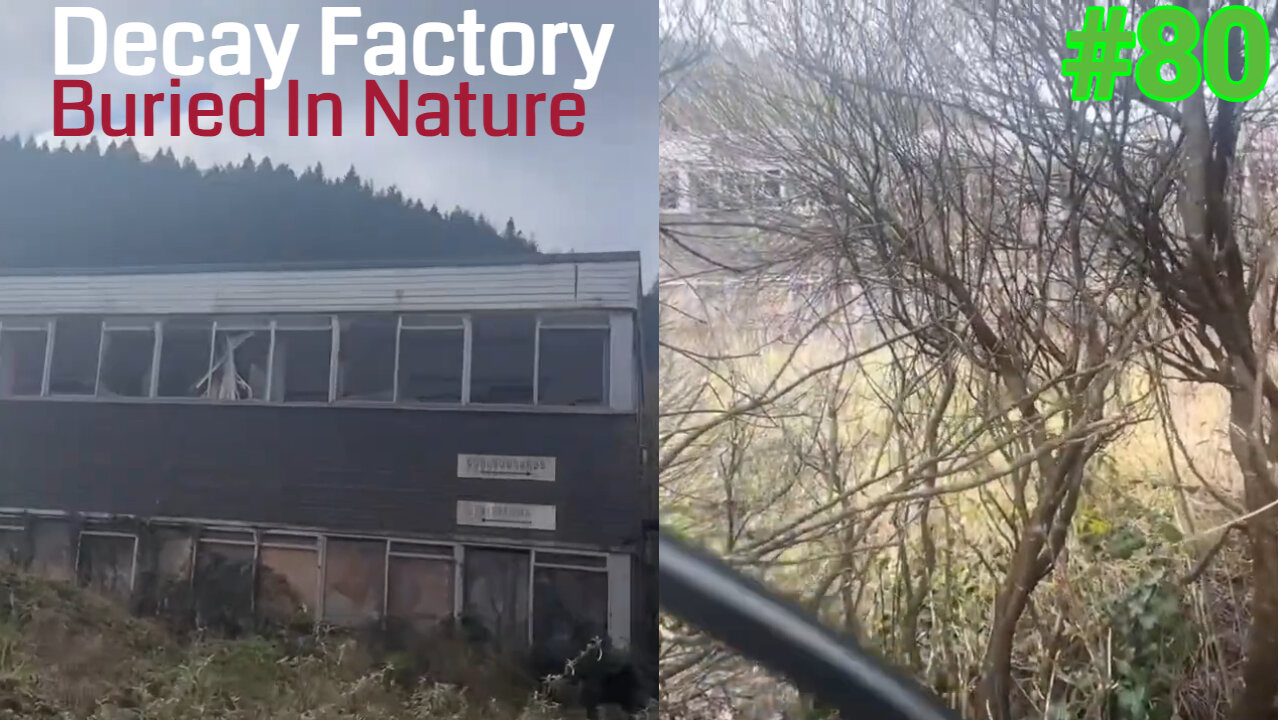 Derelict Factory | Left Buried In Nature |Abandoned Places UK