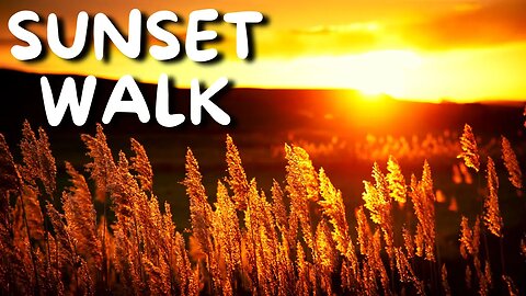 Roa - Sunset Walk# Dance & EDM Music [#FreeRoyaltyBackgroundMusic]