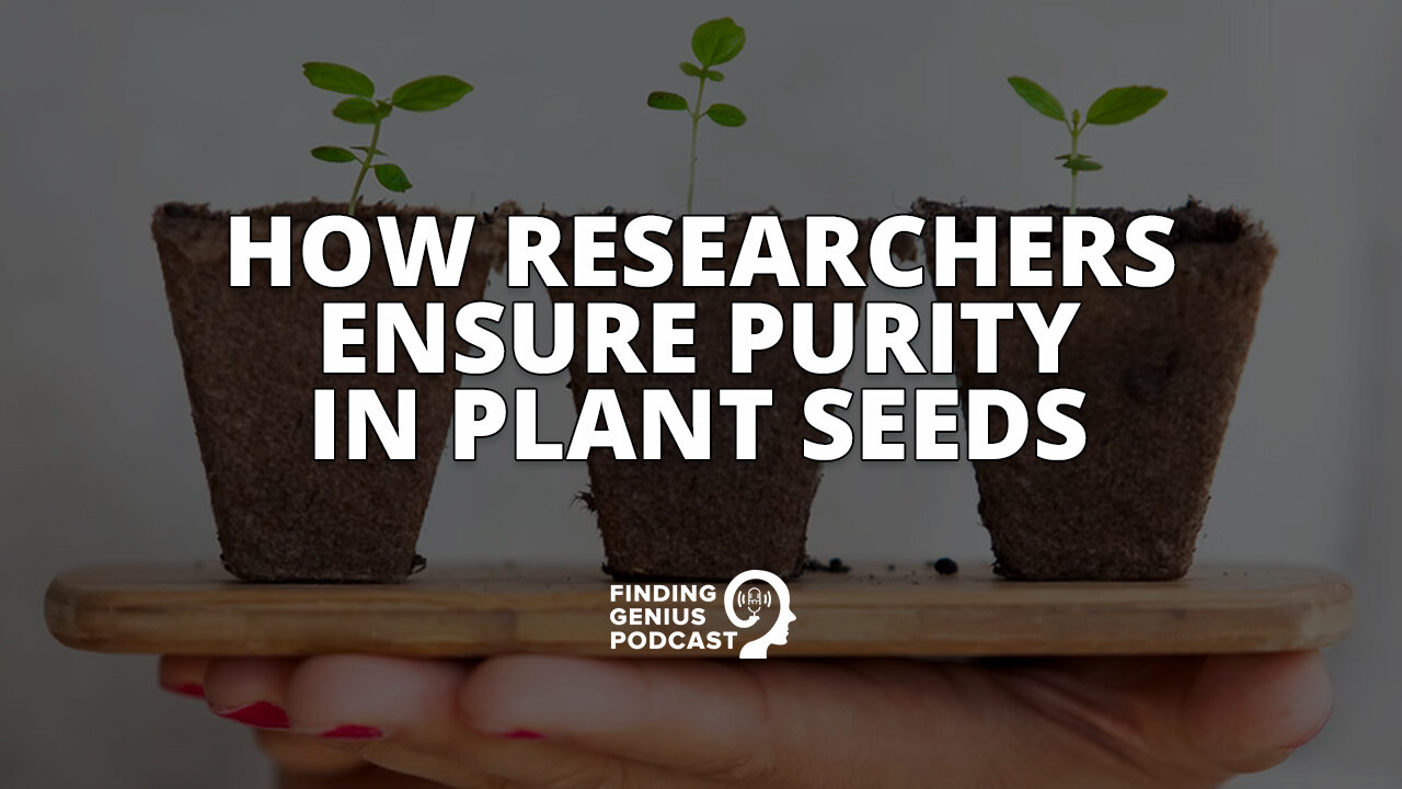 How Researchers Ensure Purity in Plant Seeds #shorts