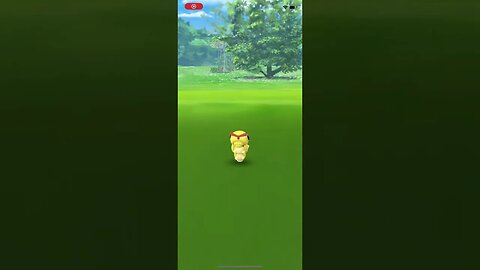 Shiny Caterpie