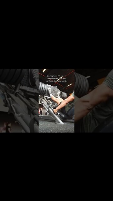 Usar la Prensa de Piernas Debería ser Como el Perro (Este es el Motivo) 🤪