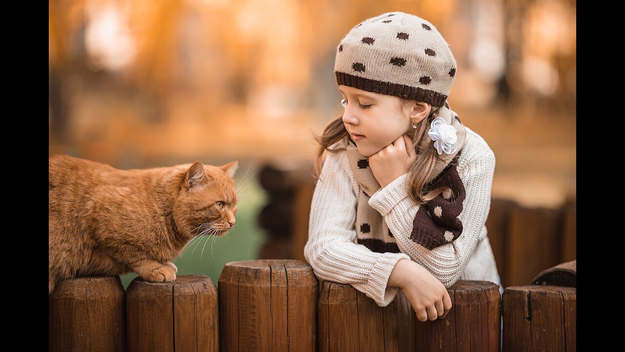 cat and kitten become buddies, funny cats