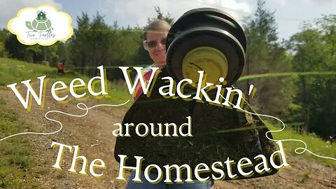 Weed Wackin': Taming the Wild Around The Homestead